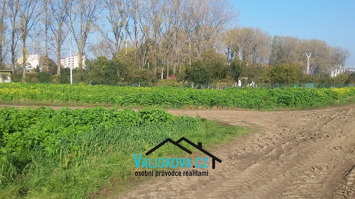 Prodej pole 710 m²